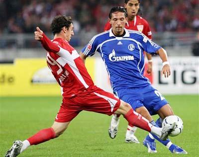 优美的自然 优美的自然